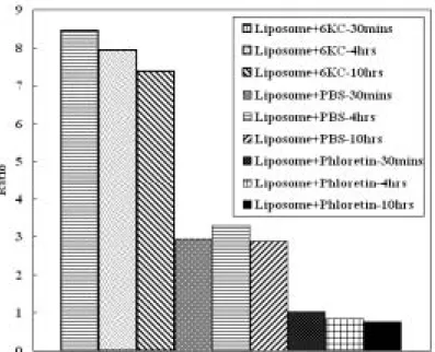 圖 6 微脂粒與 6kc、phloretin 及 PBS 在不同時間混合靜置後，再加入染劑靜置第二 段時間，之後使用螢光光度計在 emission  wavelength 為 580nm 情況下所得之 Ratio 圖；微脂粒為 SUV 大小，濃度為 1.035mM，6kc 及 phloretin 濃度為 3mM。(6kc 及 phloretin 為溶解在甲醇中)      關於靜置時間對 R 值的影響，實驗步驟如下：配置足量的微脂粒，並將 6kc、 phloretin 與 PBS 和微脂粒混合均勻後，靜置於