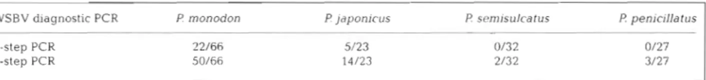 Table  1. Results  of  2-step  WSBV  diagnostic  PCR  with  adult, captured  Penaeus monodon,  P  japonicus,  P  semisulcatus  and  P  penicillatus
