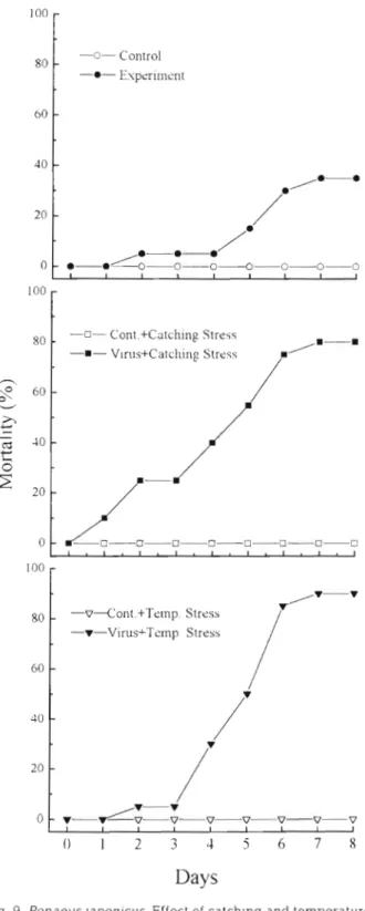 Fig. 9. Penaeuslaponicus. Effect of  catching and temperature  stress on cumulative mortalities  (X)  of  juvenile shrimp (0.16 g  average  weight)  experimentally  infected  by  immersion  in 