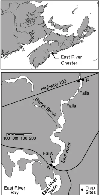Fig. 1. Map of the East River, Chester, Nova Scotia, showing the geographic location of the river (upper panel) and 