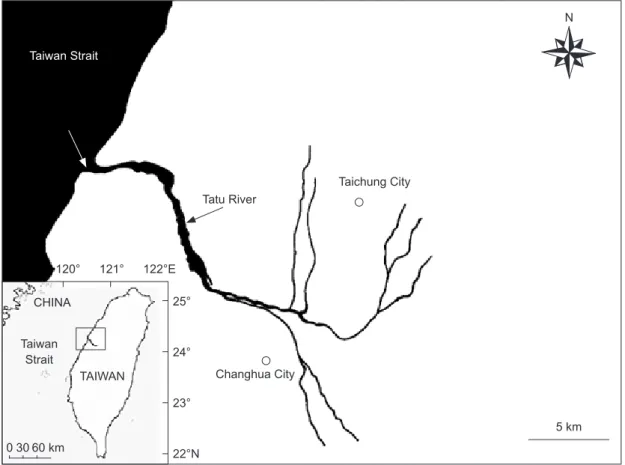 Fig. 1.  Location of the sampling site in the Tatu River estuary (white arrow).