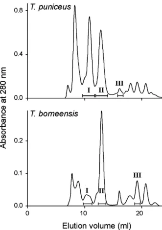 Fig. 1. Gel filtration of the crude venom. Dissolved venom of T. pu- pu-niceus or T. borneensis was loaded on to a Superdex G75 (HR10 ⁄ 30) column on a FPLC system