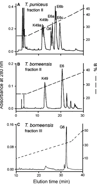 Fig. 2. Purification of PLA 2 s by RP-HPLC. Lyophilized pooled frac- frac-tions II and III from gel filtration were redissolved and fractionated on a C 8 -Vydac HPLC column with a gradient of B solvent (dashed lines)