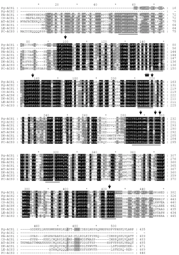 圖 1.番石榴（Pg-ACS1、Pg-ACS2）、酪梨（PA-ACS1）、甜橙（CS-ACS1）、阿 拉伯芥（AT-ACS6） 、柿子（DK-ACS1） 、番茄（LE-ACS3）及西洋梨（PC-ACS3）