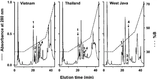 FIG. 4. Purification of the C. rhodostoma venom PLA 2 s by direct HPLC of the venom. About 1.5 mg of the C
