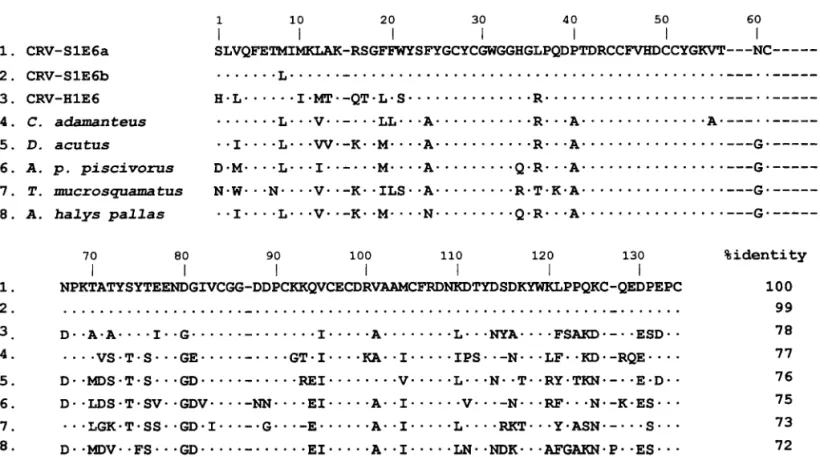 FIG. 5. Multiple sequence alignment of representative pitviper venom PLA 2 s containing a Glu6