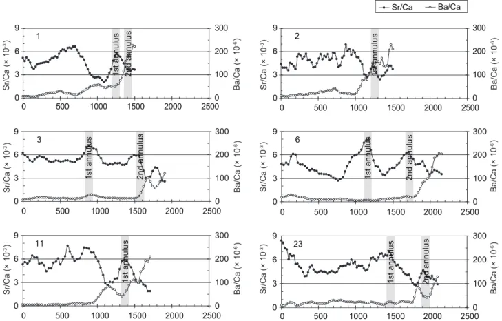 Fig. 5.  Temporal changes in otolith Sr/Ca and Ba/Ca ratios for migratiory type I Mugil cephalus collected from the Tanshui River.