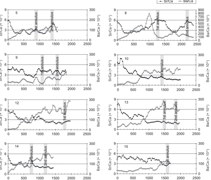 Fig. 6.  Temporal changes in otolith Sr/Ca and Ba/Ca ratios for migratiory type II Mugil cephalus collected from the Tanshui River.