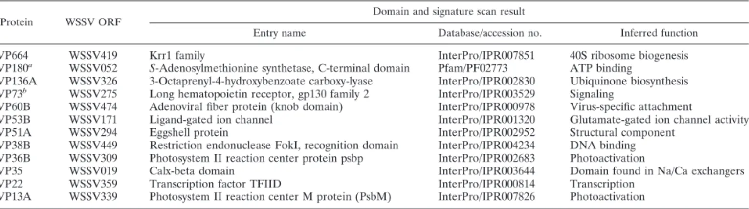 TABLE 4. Expression of WSSV structural genes during the WSSV infection cycle