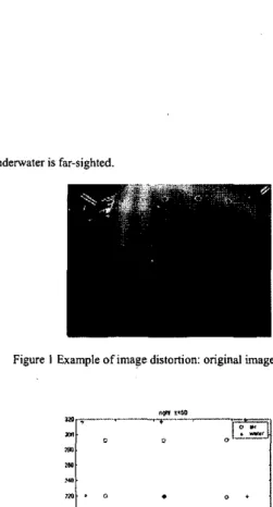 Figure 2 Effect of surrounding medis  on  image distortion 
