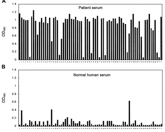 Figure 2. Identification of serum antibody–selected phage clones, by ELISA, in serum samples from a patient with severe acute respiratory syndrome (SP1)