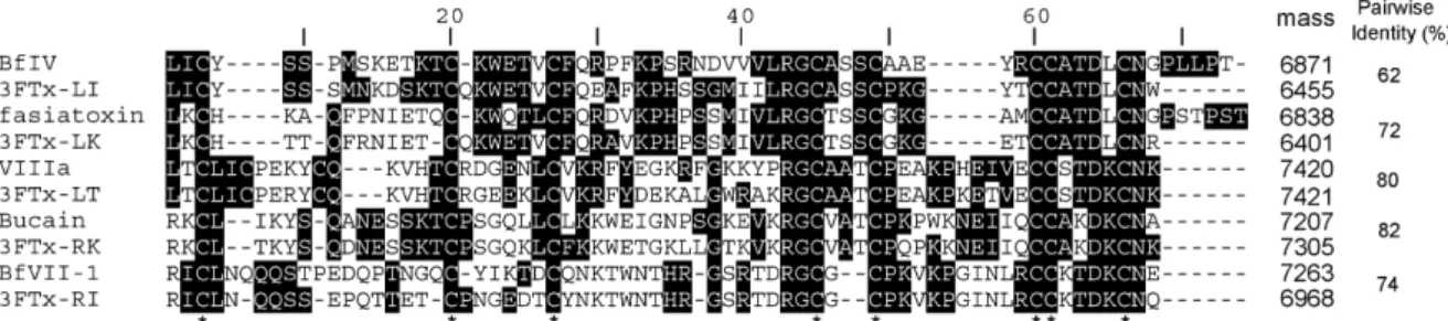 Fig. 4. Alignment of amino acid sequences of 3FTx of Bf and other related species. Single-letter codes of amino acids are used, conserved residues are reversed out, and gaps are marked with hyphens