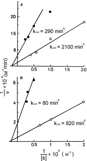 Fig. 6. Lineweaver )Burk plots of the hydrolysis of lecithins by Bf VI and X-1. Initial reaction rates were measured by pH-stat at pH 7.3 and 37 C with 0.1 M NaCl and 6 m M CaCl 2 