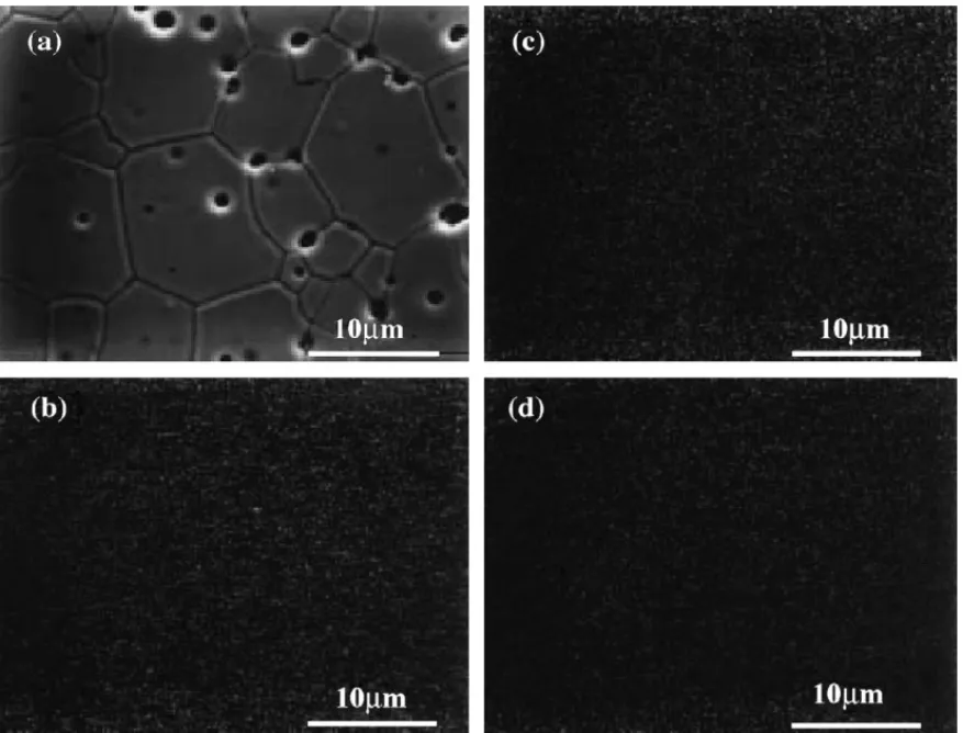 Fig. 2. EPMA element mapping of Bi 1.5 Zn 0.92 Nb 1.5 O 6.92 : (a) microstructure, (b) Bi element mapping, (c) Zn element mapping, and (d) Nb element mapping.