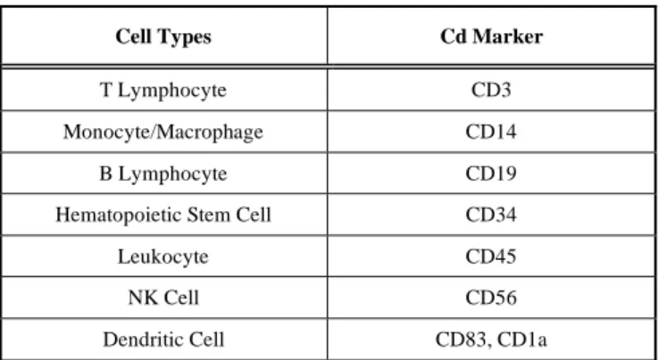 Table 1.  The CD Markers Used in the Characterization of  Cell Surface Antigens for Immuno-Phenotyping 