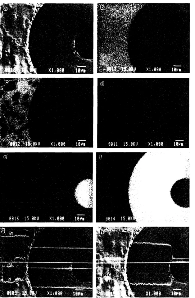 Fig.  6--Micrographs  of  electron  microprobe  analysis  of  the  interface  in  TiC-coated  SCS-6  fiber-reinforced  Ti-6A1-4V  +  2  wt  pct  C  matrix  composite  (TMC3):  (a)  secondary  electron  image,  (b)  titanium map,  (c)  aluminum  map,  (d)  