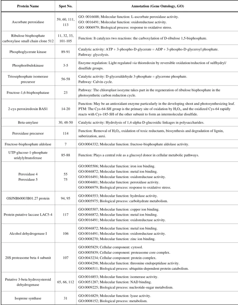 Table 3.  Annotation of Identified Wheat Proteins from the 2-DE 