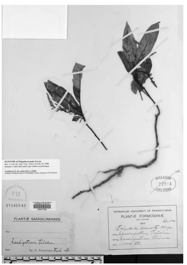 Fig. 4. Syntype of Polygala arcuata Hayata deposited at PH. The collection is G. Nakahara s