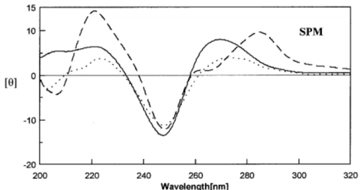 Figure 3. CD spectra of P1 (solid line), B1 (dotted line) and M1 (broken line) in solution of 20 mM Tris–HCl buffer at pH 7.3 with 5 mM (A) spermidine at (B) spermine at 10°C
