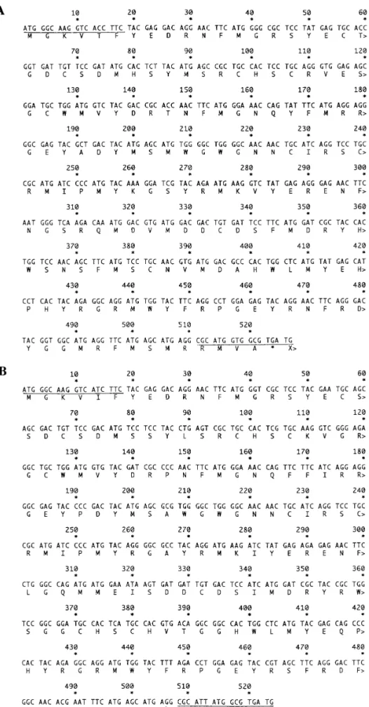 FIG. 1. Nucleotide and deduced protein sequences of catfish gS-1 (A) and catfish gS-2 (B) crystallins