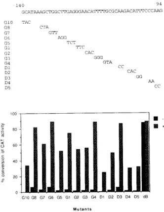 FIG. 4. Transfection assays demonstrate that the activa- activa-tion of AGP promoter function by YY 1 is through the B