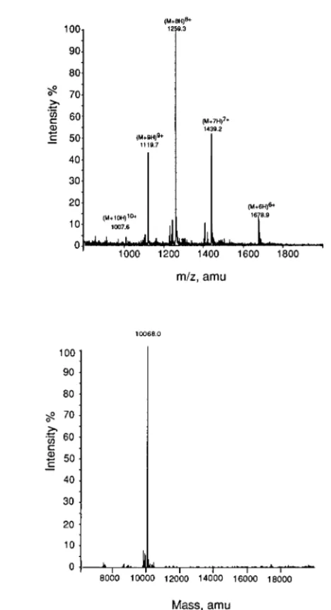 FIG. 2. Electrospray mass spectrum of the SMI-1. A: original spectrum. B: computer deconvolution of the peaks in A.