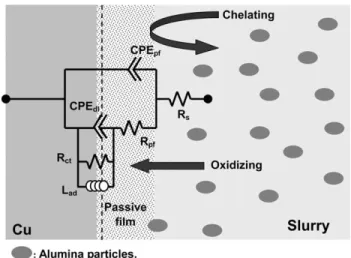 Fig. 5. Equivalent-circuit diagram and electrochemical characteristics used to ﬁt the EIS results of Cu CMP as shown in Fig