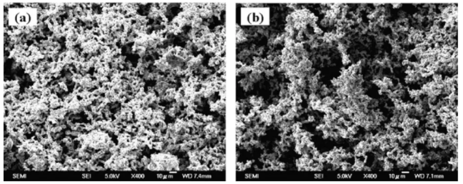 Fig. 11. SEM (400) images of the wick structures: (a) monoporous wick-Sample14 and (b) biporous wick-Sample7.