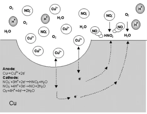 Fig. 7 illustrates the schematic localized corrosion mechanisms of copper CMP in NH 4 OH-based slurries.