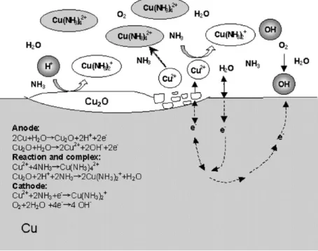 Fig. 7. The schematic localized corrosion mechanisms for copper CMP in NH 4 OH-based slurries.