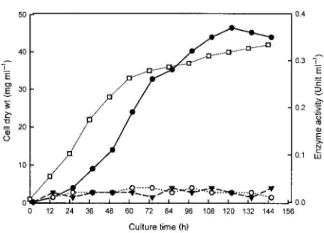 Fig. 6. Production of OsβFRUCT3 in P. pastoris. The figure shows the results of 10% SDS-PAGE analysis of the  produc-tion of OsβFRUCT3 throughout the time course of the  fer-mentation