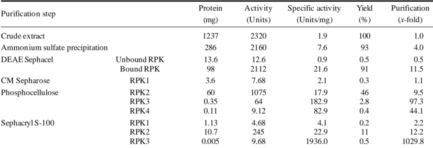 Figure 3 shows the in-gel kinase assays of  these four kinase preparations in the presence of Mn 2+  ions