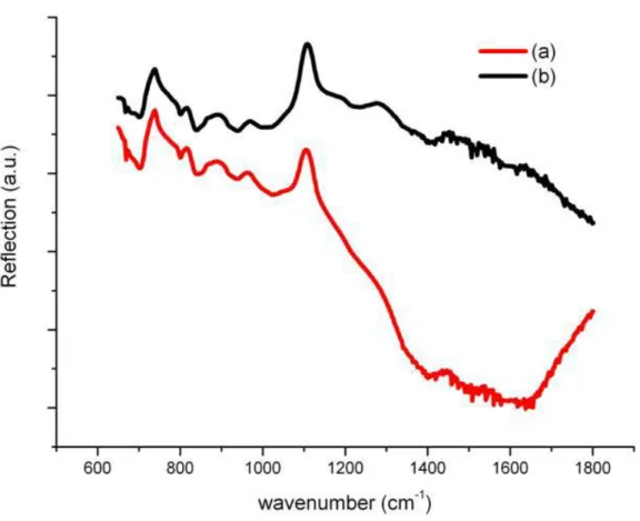 Fig. 3. FTIR reflection spectra of the ZnO nanorods (a) immersed in H 2 O 2  for 15min and (b) without H 2 O 2  treatment 
