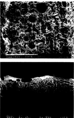 Fig.  11.  The  X-ray  diffraction  spectra  for  the  fractured  surface  of  the  specimen  joined  at  1150°C  x  60  s  as  sample 