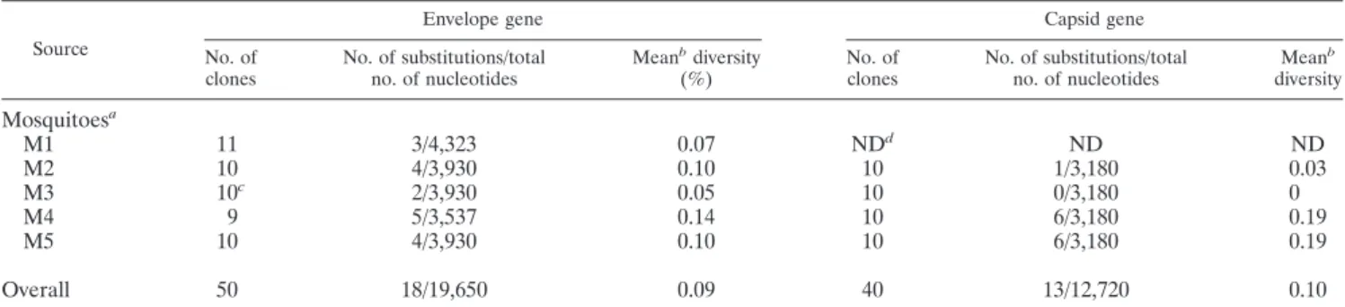 TABLE 2. Nucleotide sequence variation of envelope and capsid genes from experimentally infected mosquitoes