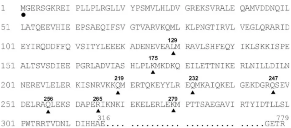 Fig. 1. N-terminal amino acid sequences of Bt-Lon (Accession No. AY197372) and each N-terminal truncated mutant was constructed from the beginning of Met (d) to the amino acid position pointed out by the symbol (N) and numbered above each of the symbols.