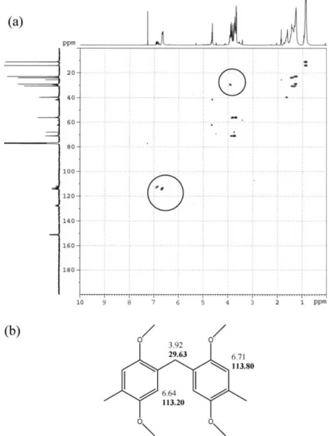 Figure 2. (a) HMQC spectrum of the species containing methylene bridge separated from monomer I through column chromatography and (b) reported chemical shift values of protons and carbons (bold) for the methylene bridge and phenylene groups of