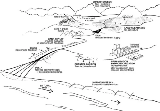 Figure  1.  Human  alterations  increasing  sediment  yields  from  the  upland  landscape,  sediment  trapping  above  dams,  and  consequences  of  sediment  starvation  downstream