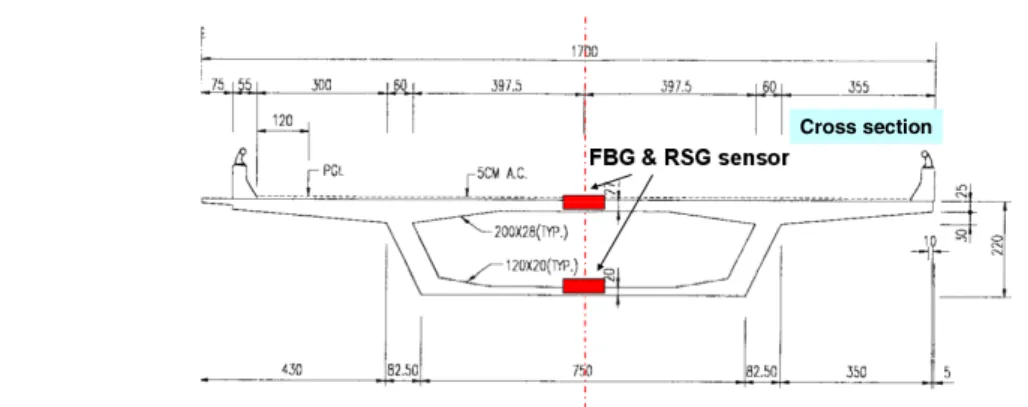 Figure 3. Cross section of the box girder and sensors location.