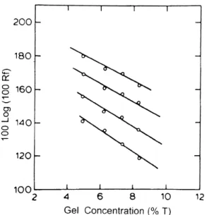 Fig. 4. Ferguson plot of bovine g-crystallin subfractions [23]. The gel buffer system was that of Tris/glycine buffer according to Davis's system [5]