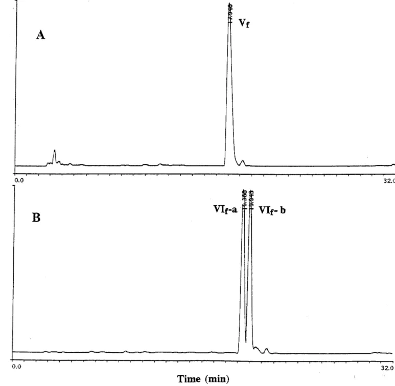 FIG. 2. High-performance liquid chromatographies (HPLC) on a reverse-phase C 18 column of fractions Vf and VIf obtained from TSK DEAE-650(M) column after ultrafiltrations