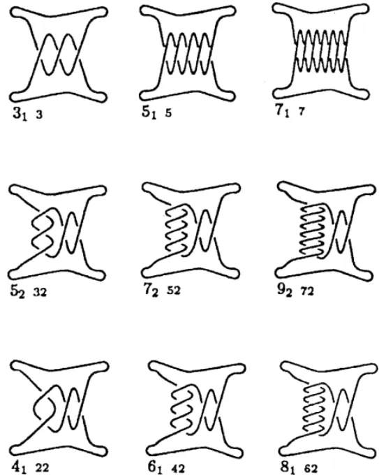 Fig. 1. Schematic knot diagrams. The (3 1 ; 5 1 ; : : :) group, the (4 1 ; 6 1 ; : : :) group and the (5 2 ; 7 2 ; : : :) group.