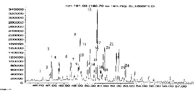 Figure 9. M/z 191 fragmentogram showing the typical triterpenoid distribution of the sediments in the southwestern coastal plain