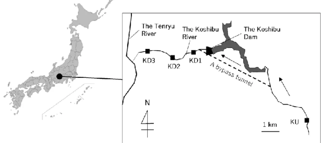 Fig. 1: Location of the Koshibu Dam, a bypass tunnel of the dam, and monitoring locations in this study  (Ku, KD1, 2, and 3)