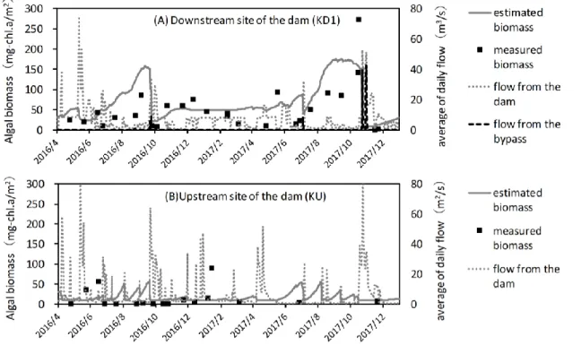 Fig. 3: Results of estimating algal biomass at the downstream site (KD1) and the upstream site (KU) of the  Koshibu Dam  from  April 2016 to  December 2017 (algal biomass is illustrated by  solid lines and  dots, whereas the volumetric flow rate is illustr