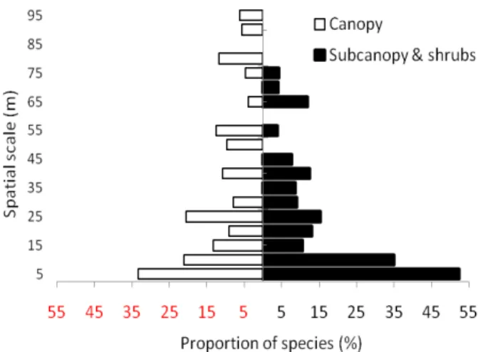Fig. 5. Proportions of species (”canopy” or “subcanopy and  shrubs”) showing significant autocorrelations in each   distance spatial scale class