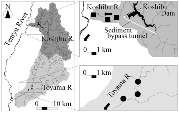 Fig. 1 Locations of the six study sites. Squares and circles indicate the study sites in the Koshibu and  Toyama Rivers, respectively, while dark and light gray areas indicate the drainage areas in each river