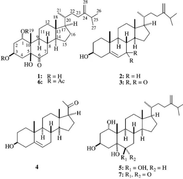 Fig. 1. Steroids isolated from Sinularia gibberosa.