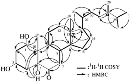 Fig. 2. 1 H- 1 H COSY and key HMBC correlations for 1.