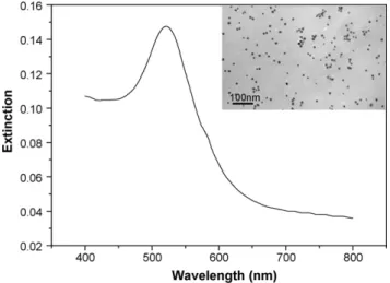 Fig. 1. Extinction spectrum of isolated Au nanoparticles, the inset shows the TEM of isolated Au nanoparticles.